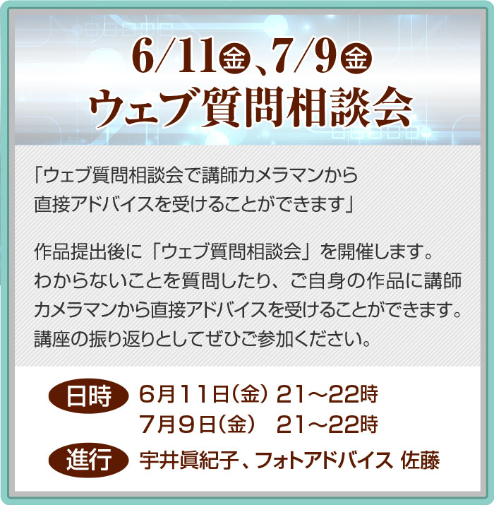 ウェブ質問相談会